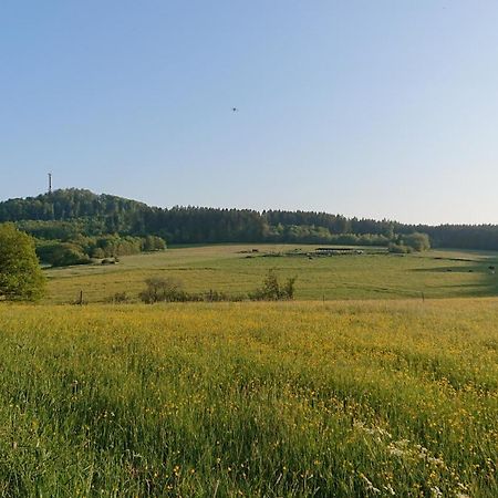 Ferienwohnung Am Hochkelberg Bereborn Eksteriør billede